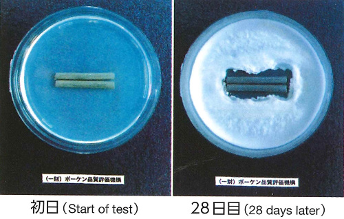 picture of Antifungal cable