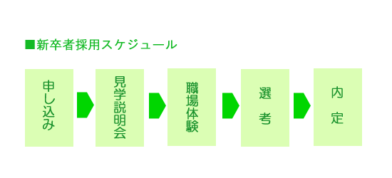 新卒者採用スケジュール